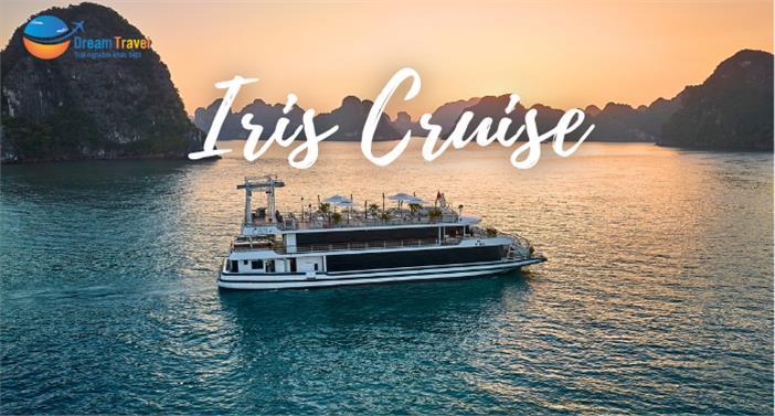 Hành trình thăm vịnh 1 ngày Du thuyền Iris